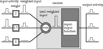 electronic neuron image