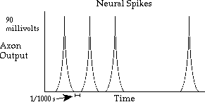 neural spike image