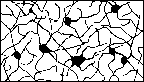 lattice of real neurons image